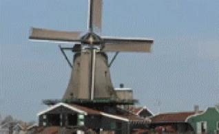 JongeSchaap